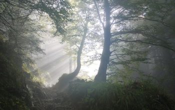 Mental health: Young lives in crisis – a comment